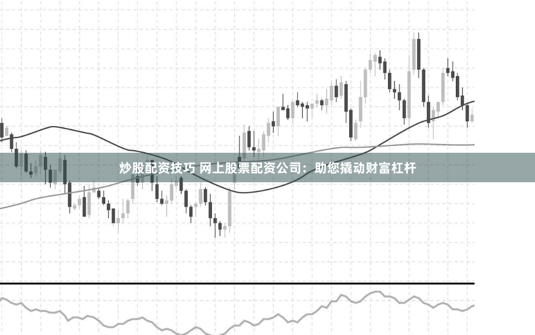 炒股配资技巧 网上股票配资公司：助您撬动财富杠杆