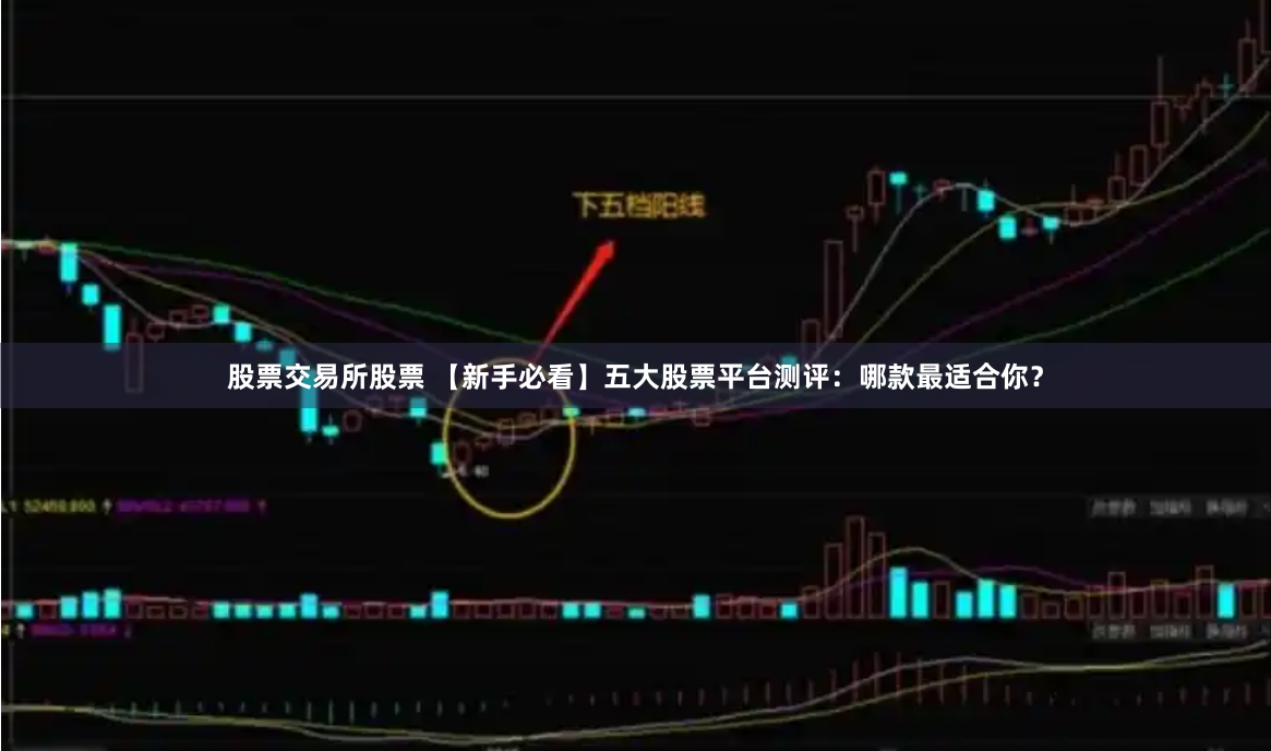 股票交易所股票 【新手必看】五大股票平台测评：哪款最适合你？